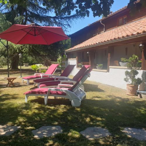 un groupe de chaises et un parasol dans une cour dans l'établissement La GRANGE de MOMBEL, à Losse
