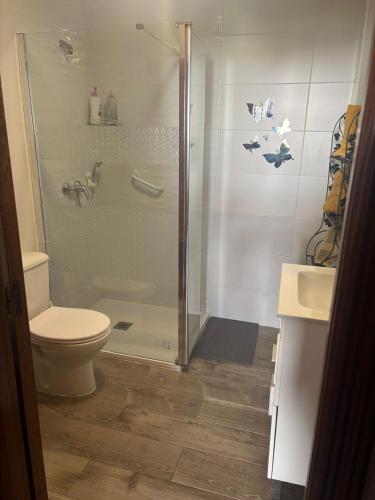 a bathroom with a shower and a toilet at Casa al-andalus in Granada