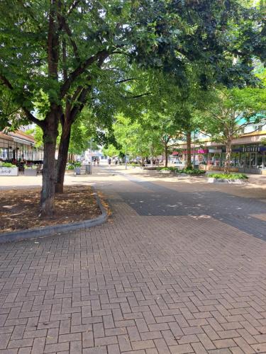 a street with a tree on the side of the road at Moderní apartmán s balkonem v srdci Pardubic in Pardubice
