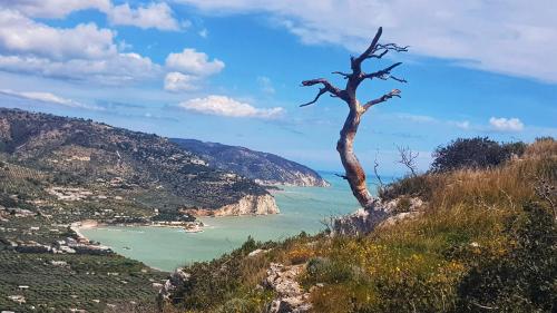 Φυσικό τοπίο κοντά σε αυτό το διαμέρισμα