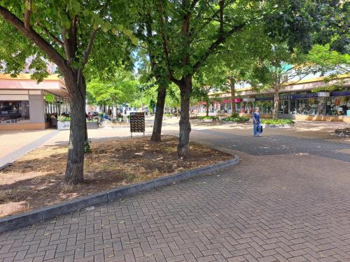 a person walking down a street next to trees at Moderní apartmán s balkonem v srdci Pardubic in Pardubice