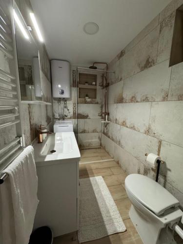 a bathroom with a white toilet and a sink at MIDA 2 Apartment in Tuheljske Toplice