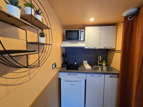 une petite cuisine avec un évier et un micro-ondes dans l'établissement 1G- Studio tout equipé proche de la scène musicale, à Issy-les-Moulineaux
