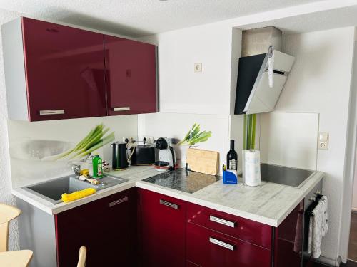 a kitchen with red cabinets and a sink at Fewo Leo in Remse