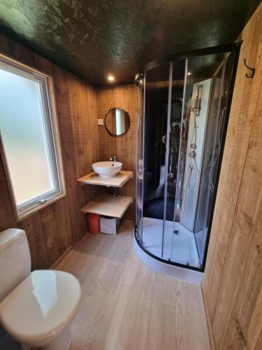 ein Badezimmer mit Dusche, Toilette und Waschbecken in der Unterkunft Camping Aux Couleurs du ferret in Lège-Cap-Ferret