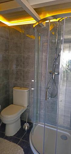 a bathroom with a toilet and a shower at Satori Studio - open plan seaviews private terrace & shared pool in Il-Pergla