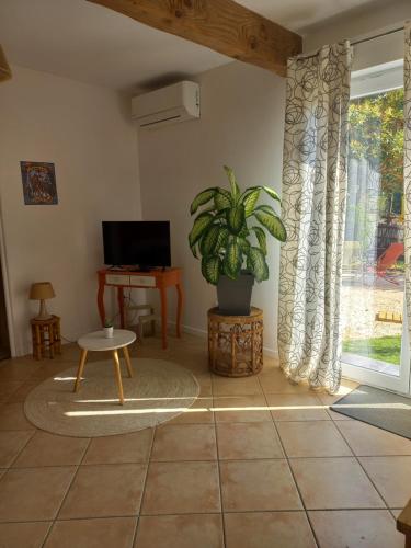 a living room with a potted plant and a window at Logement 2 personnes cosy avec petit jardin in Céret