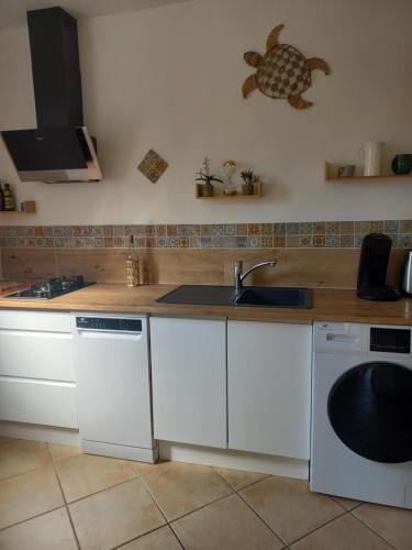 a kitchen with a sink and a dishwasher at Logement 2 personnes cosy avec petit jardin in Céret