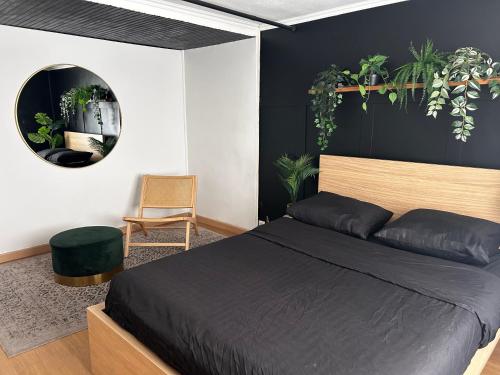 - une chambre avec un lit, un miroir et des plantes dans l'établissement Guibert Home - Studio 2 personnes, à Villeneuve-le-Roi