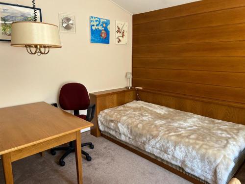a bedroom with a bed and a desk and a table at Villa Paradise in Neudörfl