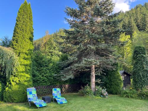 two chairs and a pine tree in a yard at Villa Paradise in Neudörfl