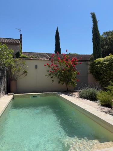 une piscine dans l'arrière-cour d'une maison dans l'établissement Mazet avec piscine, parking et clim dans le centre, à Saint-Rémy-de-Provence
