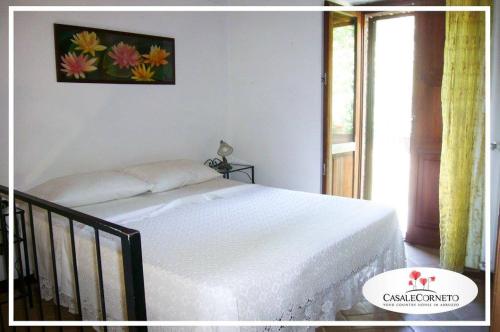 a bedroom with a bed and a picture on the wall at Pallano in Bomba