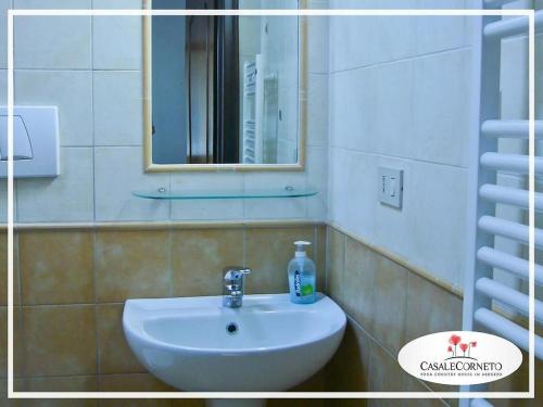 a bathroom with a sink and a mirror at Pallano in Bomba
