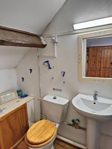 une salle de bain avec toilettes et lavabo dans l'établissement La Maison de Poupée Gîte cosy Monts d'Arrée Bretagne, à Berrien
