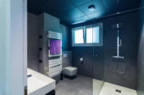 une salle de bain avec une douche, un lavabo et des toilettes dans l'établissement La maison Carla, à Fumel