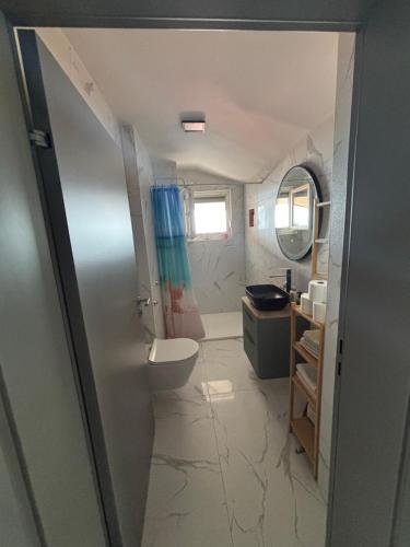 une salle de bains avec lavabo, toilettes et miroir dans l'établissement Apartman Denis, à Vir