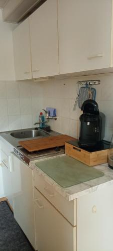 Η κουζίνα ή μικρή κουζίνα στο Ferienwohnung Waldblick in Frauenstein