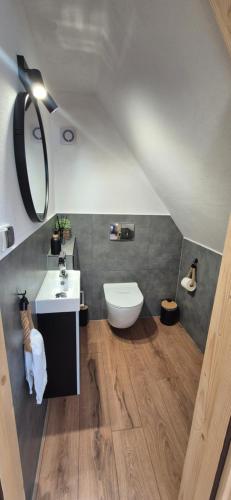 a bathroom with a sink and a toilet at Apartamenty Wiktorówka in Poronin