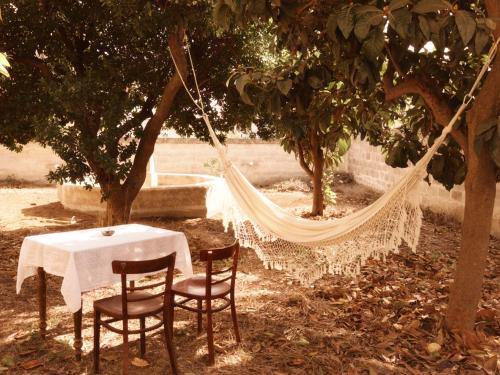 a table and chairs and a hammock under a tree at Ferienhaus, Villa in der Altstadt mit grossem Zitrusgarten in Carovigno