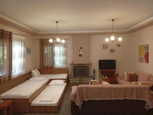 a living room with two beds and a fireplace at Gamila Sunrise in Konitsa