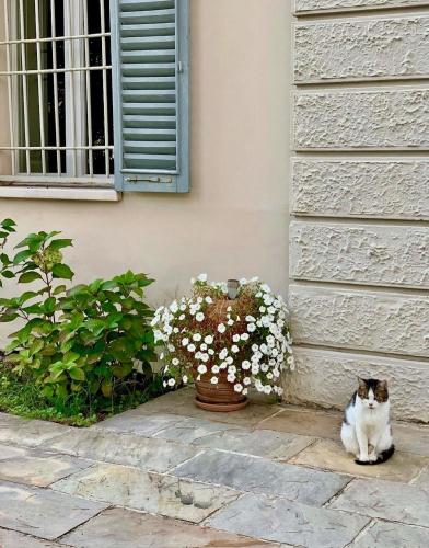 a cat sitting next to a vase of flowers at Villa Mariotti in Fano