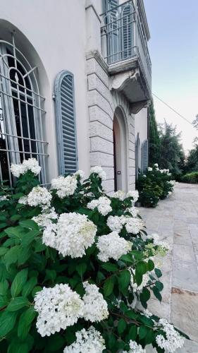 a bunch of white flowers in front of a building at Villa Mariotti in Fano