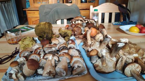 a table with many different types of mushrooms on it at Dom na Pawlikach in Rzepiska