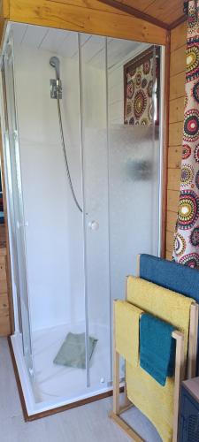 une douche avec une porte vitrée dans une salle de bain dans l'établissement Roulotte Lou Gregau, à Saintes-Maries-de-la-Mer