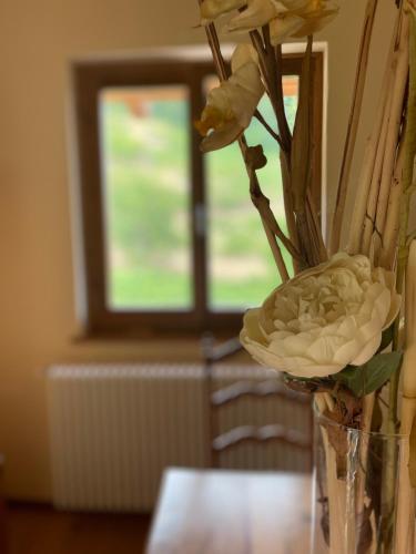 a vase filled with flowers on a table with a window at Il Tesoro di MiRo in Cartosio
