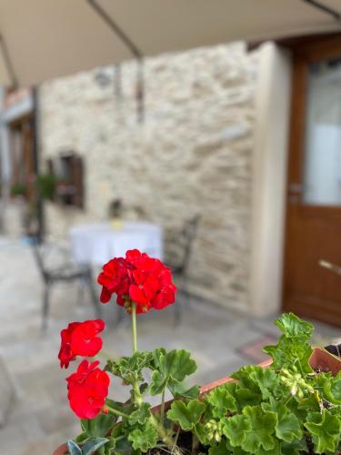 a red flower in a pot on a table at Il Tesoro di MiRo in Cartosio