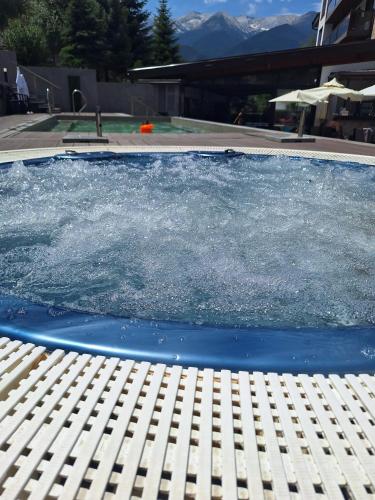 Studio DeLuxe King with mountain view and spa rilski