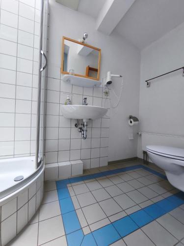a bathroom with a sink and a toilet and a mirror at Herrenhaus Libnow in Murchin