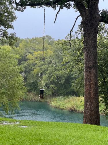 a swing hanging from a tree next to a river at Gated Estate Escape! Three BR in Bastrop