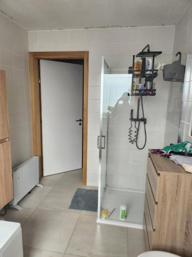 a bathroom with a shower with a glass door at Tomorrowland rooms in Rumst