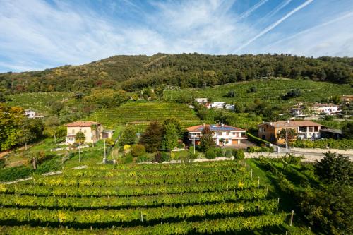 een dorp op een heuvel met een bos wijngaarden bij Ca dei Giari in Valdobbiadene