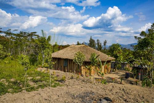 a house with a straw roof in a field at Bird of Paradise ECO Lodge 
