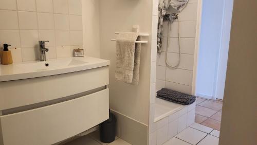 a bathroom with a sink and a shower at les chambres de Mélis in Crémieu