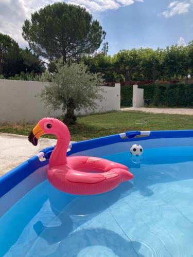 un flotteur de flamants roses dans une piscine dans l'établissement La Petite Bastide en Provence, à Noves