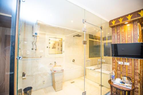 a bathroom with a shower and a television and a tub at Global Comfort Inn in Cairo