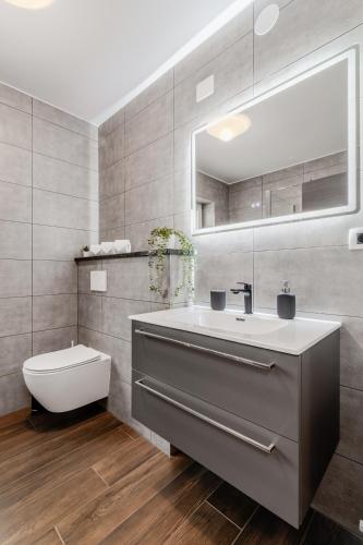 a bathroom with a sink and a toilet and a mirror at Apartmaji Gašperčič, NEJC in Bovec