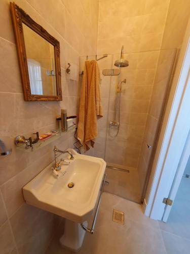 a bathroom with a sink and a shower at Ziedulejas in Beika
