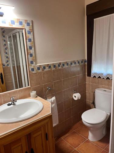 a bathroom with a sink and a toilet and a mirror at El huerto de Lino in Candeleda
