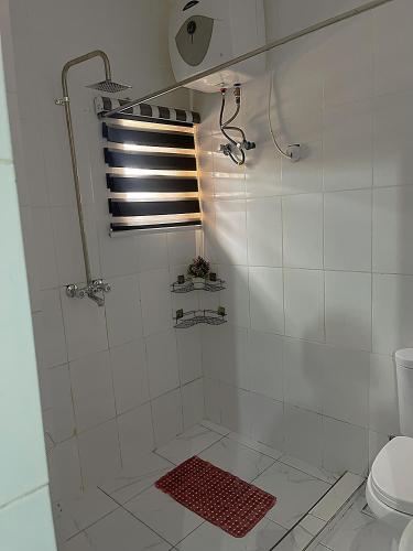 a bathroom with a shower and a toilet at Swazshortlet in Gwarinpa