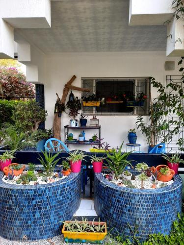 Fotografie z fotogalerie ubytování MAISON D HÔTES Marine KSAR SGHIR v destinaci Ksar es Seghir