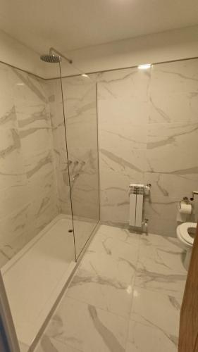 a bathroom with a shower and a toilet at Parque Suite Nqn - 1 dormitorio in Neuquén