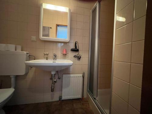 a bathroom with a sink and a shower at Aparthotel Mariazellerhof in Sankt Pölten