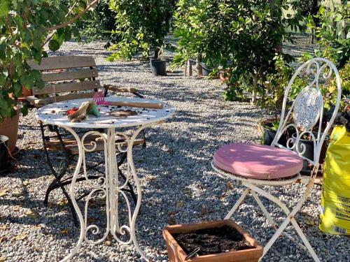 Un jardín fuera de Andrej home