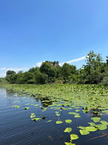 Un paisaje natural cerca del departamento