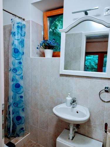 a bathroom with a sink and a mirror at Bike&Night in Baracska